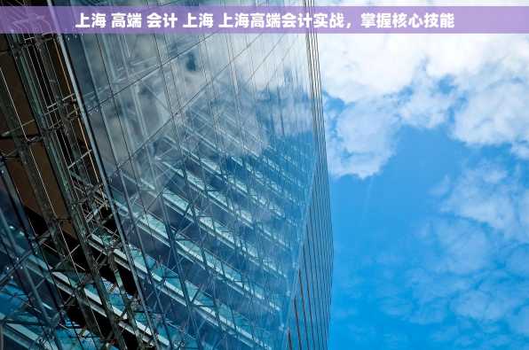 上海 高端 会计 上海 上海高端会计实战，掌握核心技能