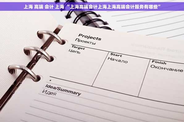 上海 高端 会计 上海 “上海高端会计上海上海高端会计服务有哪些”