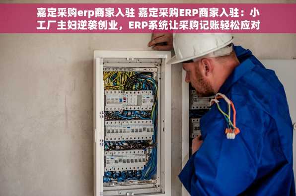 嘉定采购erp商家入驻 嘉定采购ERP商家入驻：小工厂主妇逆袭创业，ERP系统让采购记账轻松应对
