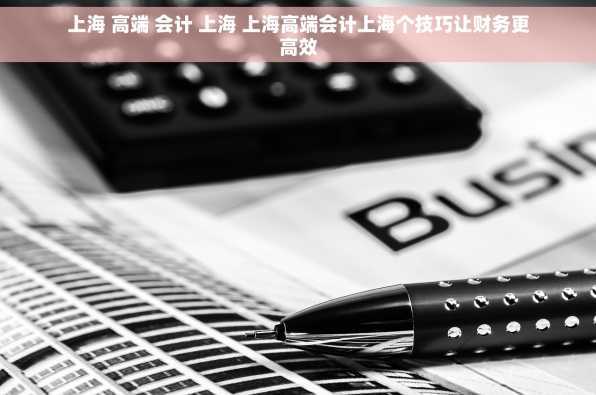 上海 高端 会计 上海 上海高端会计上海个技巧让财务更高效