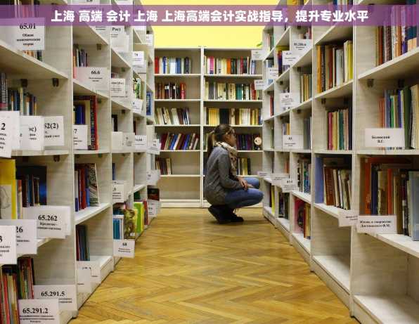 上海 高端 会计 上海 上海高端会计实战指导，提升专业水平