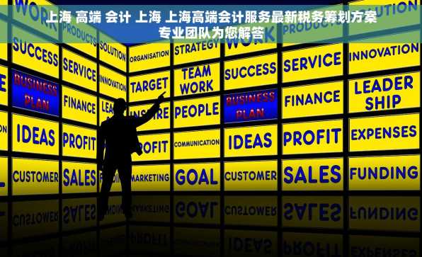 上海 高端 会计 上海 上海高端会计服务最新税务筹划方案专业团队为您解答