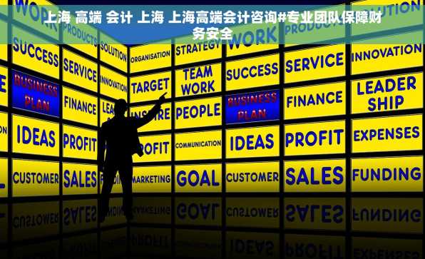 上海 高端 会计 上海 上海高端会计咨询#专业团队保障财务安全