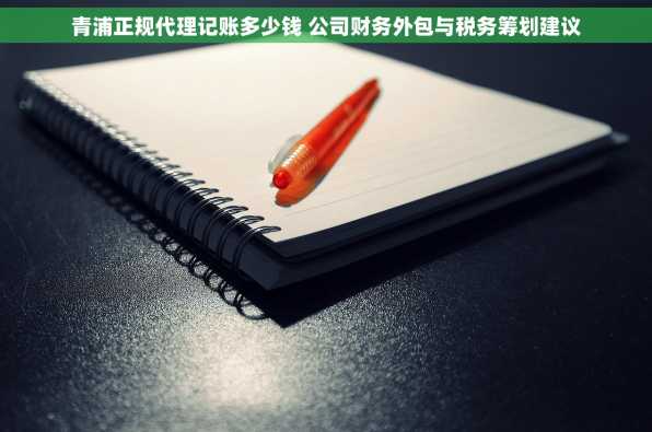 青浦正规代理记账多少钱 公司财务外包与税务筹划建议