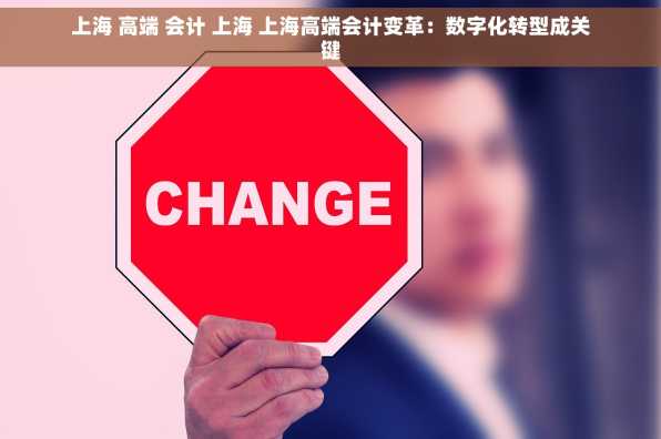 上海 高端 会计 上海 上海高端会计变革：数字化转型成关键