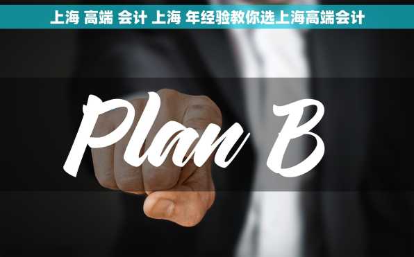 上海 高端 会计 上海 年经验教你选上海高端会计