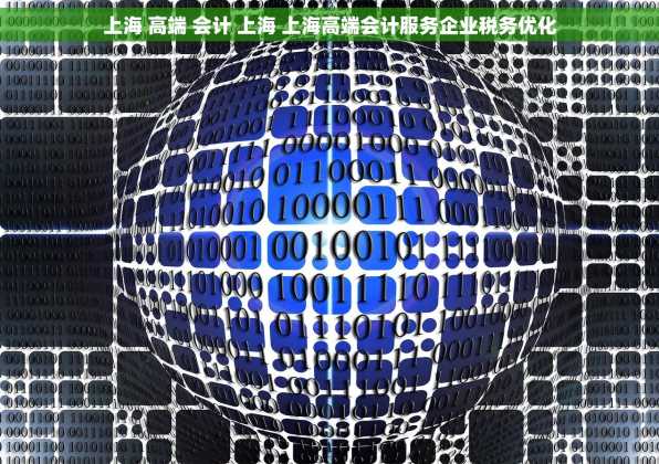上海 高端 会计 上海 上海高端会计服务企业税务优化