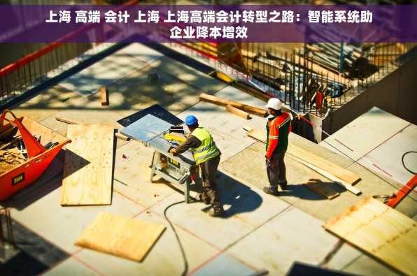 上海 高端 会计 上海 上海高端会计转型之路：智能系统助企业降本增效