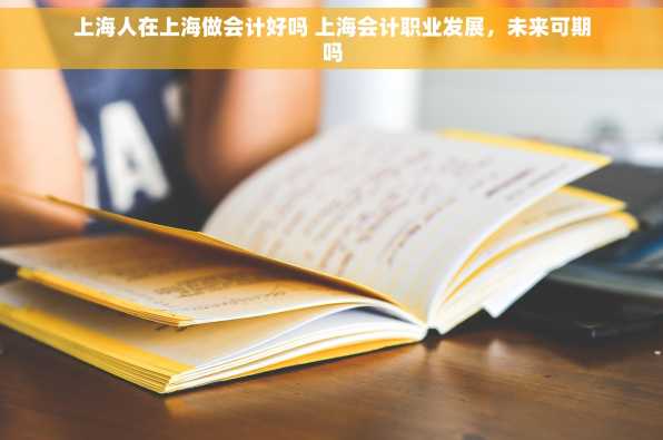 上海人在上海做会计好吗 上海会计职业发展，未来可期吗