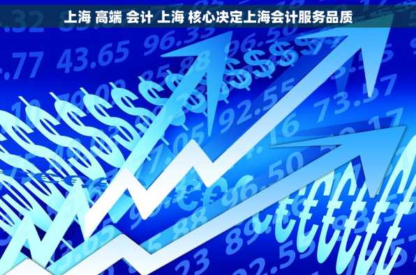 上海 高端 会计 上海 核心决定上海会计服务品质