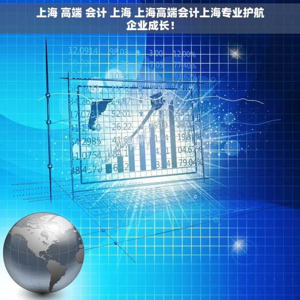 上海 高端 会计 上海 上海高端会计上海专业护航企业成长！
