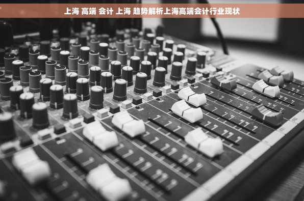 上海 高端 会计 上海 趋势解析上海高端会计行业现状
