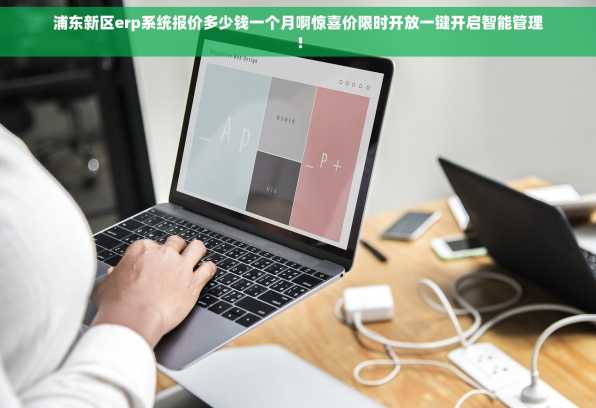 浦东新区erp系统报价多少钱一个月啊惊喜价限时开放一键开启智能管理！