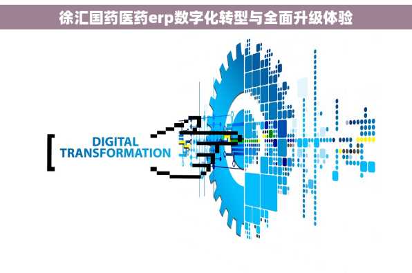 徐汇国药医药erp数字化转型与全面升级体验