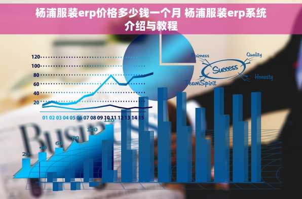 杨浦服装erp价格多少钱一个月 杨浦服装erp系统介绍与教程