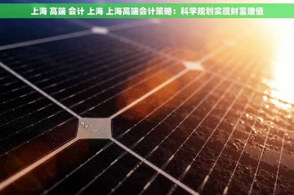 上海 高端 会计 上海 上海高端会计策略：科学规划实现财富增值