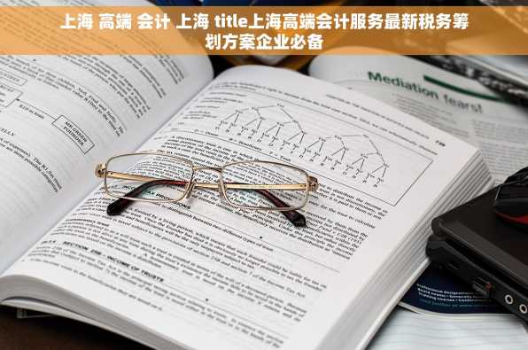 上海 高端 会计 上海 title上海高端会计服务最新税务筹划方案企业必备
