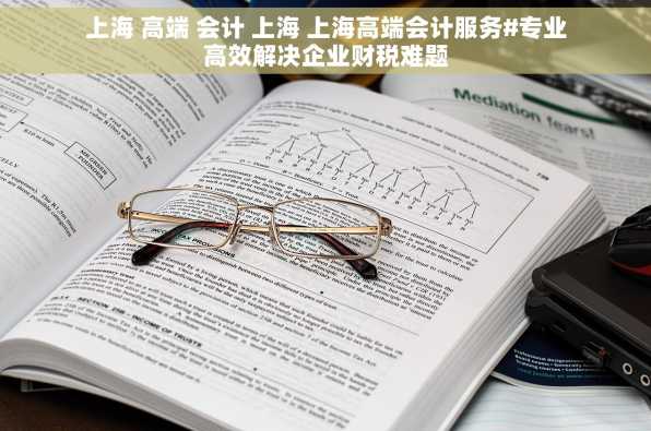 上海 高端 会计 上海 上海高端会计服务#专业高效解决企业财税难题