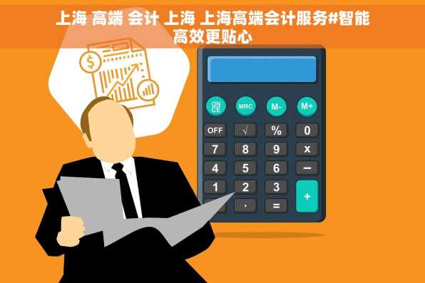 上海 高端 会计 上海 上海高端会计服务#智能高效更贴心