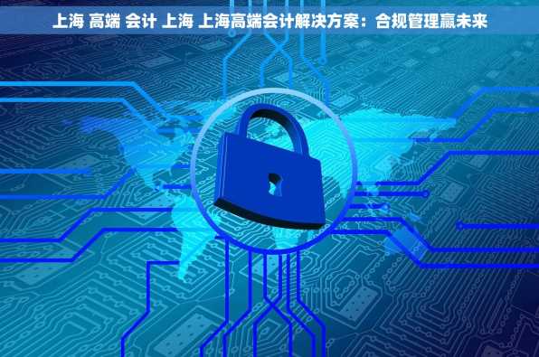 上海 高端 会计 上海 上海高端会计解决方案：合规管理赢未来