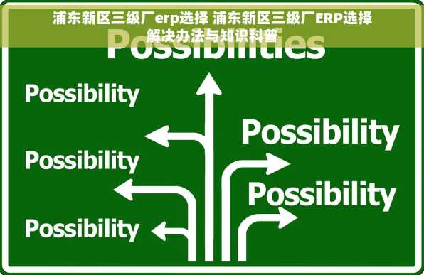 浦东新区三级厂erp选择 浦东新区三级厂ERP选择解决办法与知识科普
