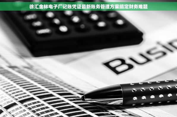 徐汇金林电子厂记账凭证最新账务管理方案搞定财务难题