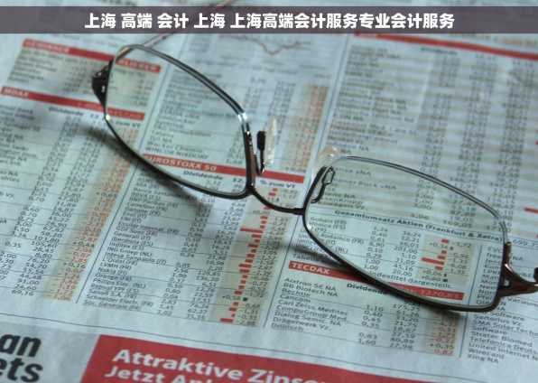 上海 高端 会计 上海 上海高端会计服务专业会计服务