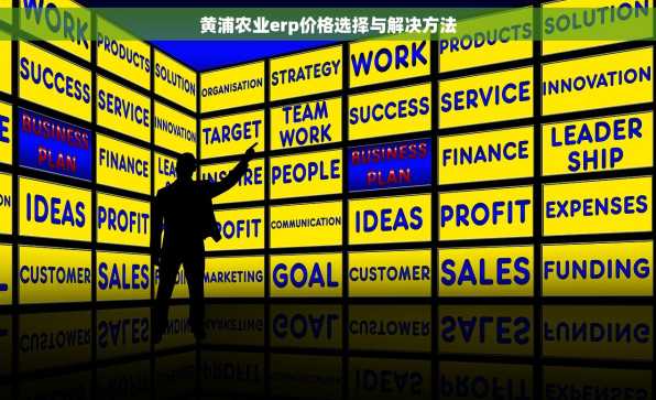 黄浦农业erp价格选择与解决方法