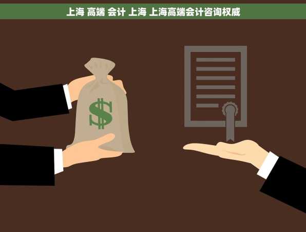 上海 高端 会计 上海 上海高端会计咨询权威