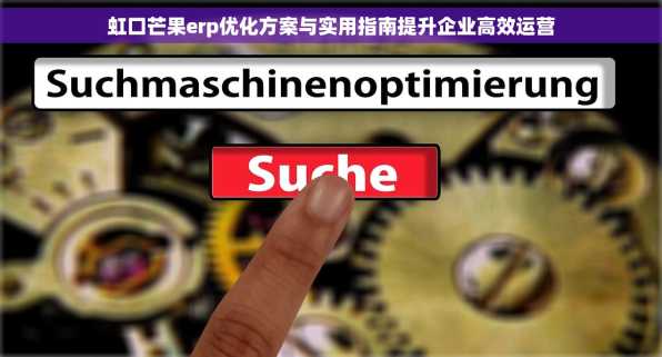 虹口芒果erp优化方案与实用指南提升企业高效运营