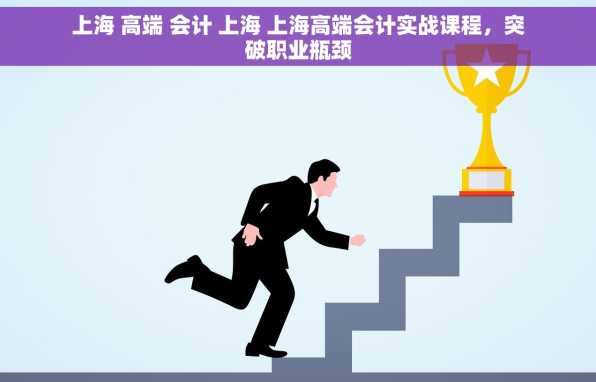 上海 高端 会计 上海 上海高端会计实战课程，突破职业瓶颈