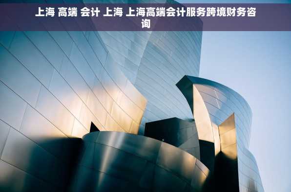上海 高端 会计 上海 上海高端会计服务跨境财务咨询