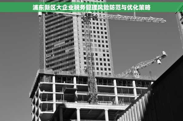 浦东新区大企业税务管理风险防范与优化策略