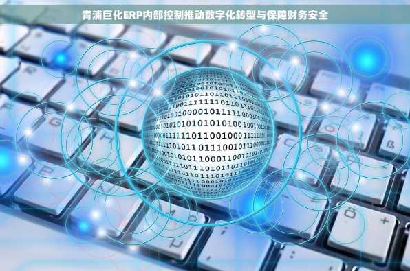 青浦巨化ERP内部控制推动数字化转型与保障财务安全