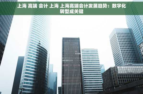 上海 高端 会计 上海 上海高端会计发展趋势：数字化转型成关键