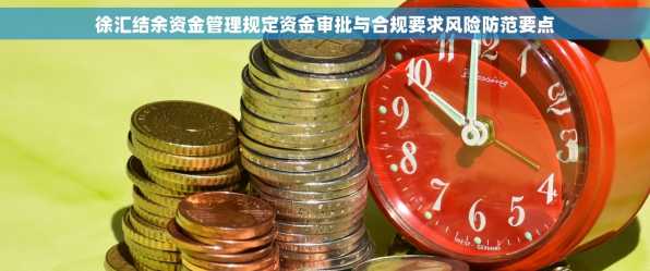 徐汇结余资金管理规定资金审批与合规要求风险防范要点