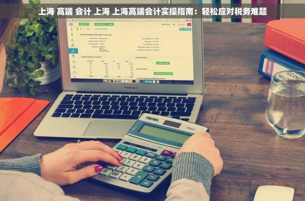 上海 高端 会计 上海 上海高端会计实操指南：轻松应对税务难题