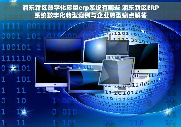 浦东新区数字化转型erp系统有哪些 浦东新区ERP系统数字化转型案例与企业转型痛点解答