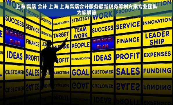 上海 高端 会计 上海 上海高端会计服务最新税务筹划方案专业团队为您解答