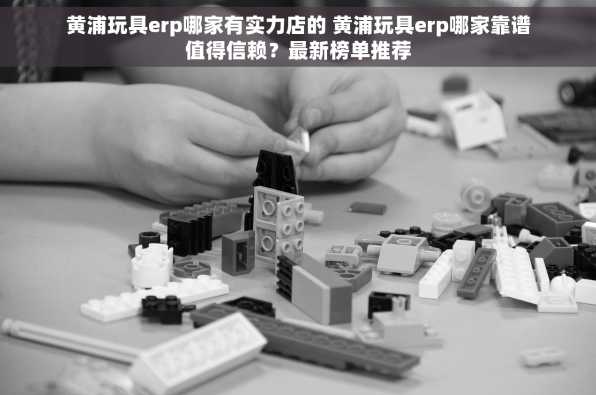黄浦玩具erp哪家有实力店的 黄浦玩具erp哪家靠谱值得信赖？最新榜单推荐
