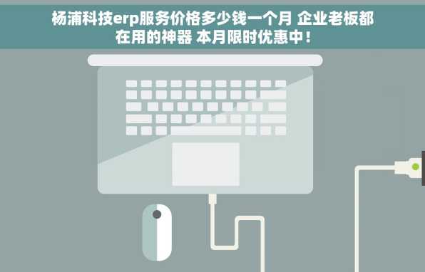 杨浦科技erp服务价格多少钱一个月 企业老板都在用的神器 本月限时优惠中！