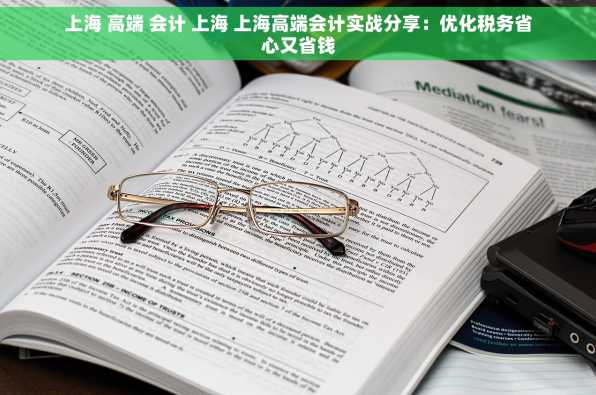 上海 高端 会计 上海 上海高端会计实战分享：优化税务省心又省钱