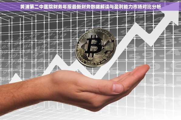 黄浦第二中医院财务年报最新财务数据解读与盈利能力市场对比分析