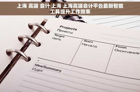 上海 高端 会计 上海 上海高端会计平台最新智能工具提升工作效率