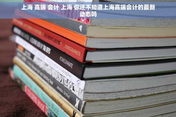 上海 高端 会计 上海 你还不知道上海高端会计的最新动态吗