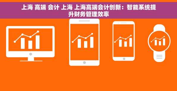 上海 高端 会计 上海 上海高端会计创新：智能系统提升财务管理效率