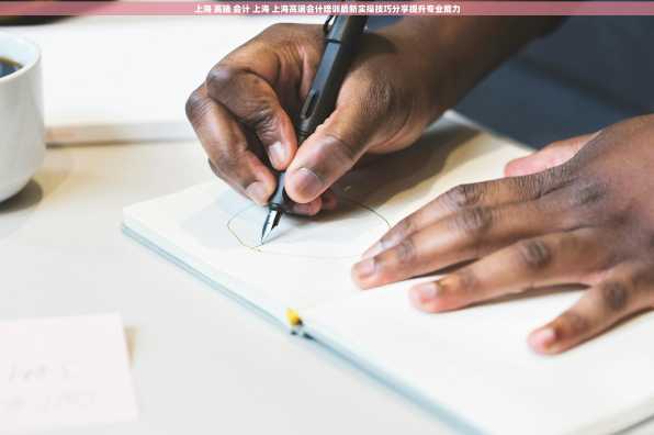 上海 高端 会计 上海 上海高端会计培训最新实操技巧分享提升专业能力