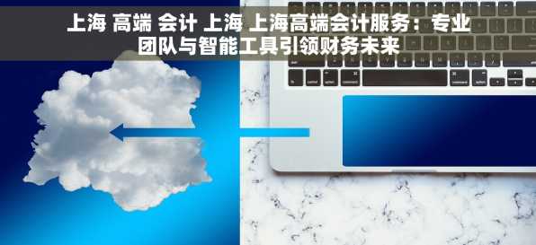 上海 高端 会计 上海 上海高端会计服务：专业团队与智能工具引领财务未来