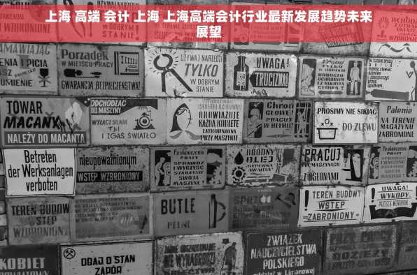 上海 高端 会计 上海 上海高端会计行业最新发展趋势未来展望