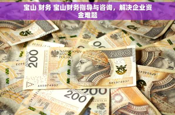宝山 财务 宝山财务指导与咨询，解决企业资金难题